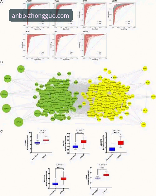安博体育官网登录页面下载不了怎么办 安博体育官网登录页面下载难题 vs. 行业技术趋势:问题根源与解决路径分析